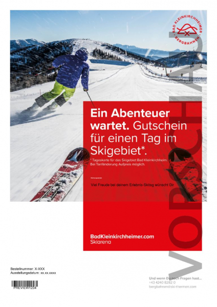 Tageskarte - Ski